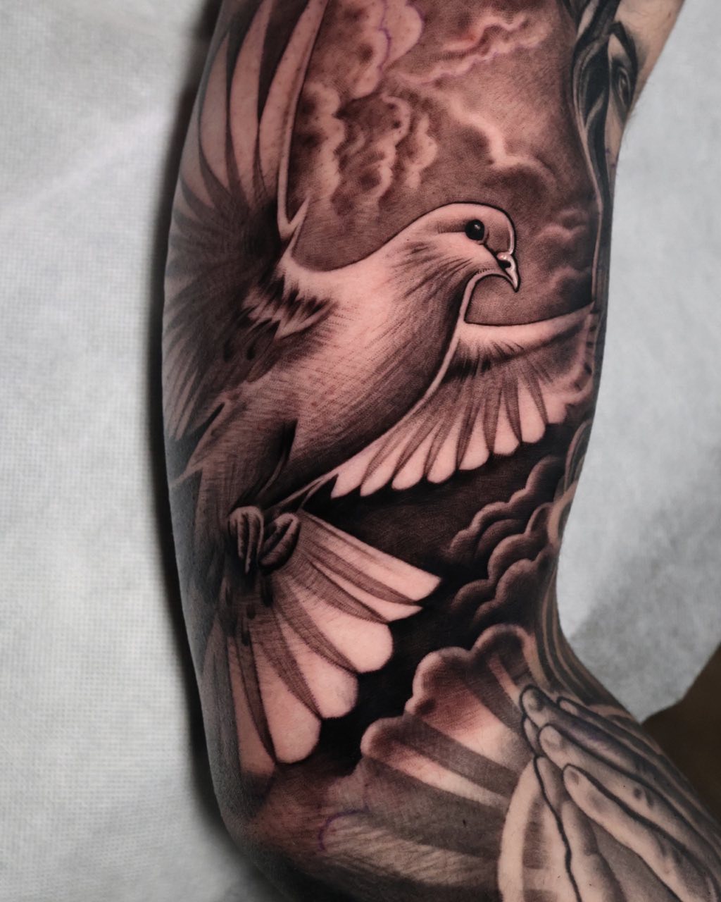 Sleeve met realistische duif, getatoeëerd door Haissam Mokdad